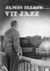 Vit jazz