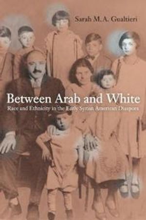 Between arab and white - race and ethnicity in the early syrian american di