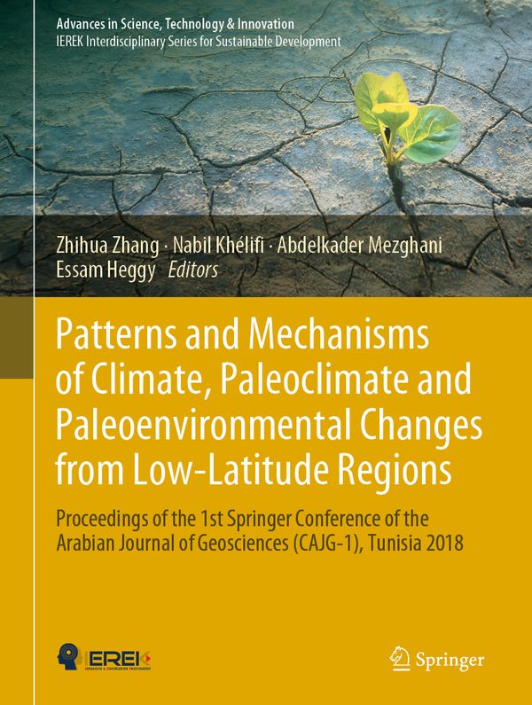 Patterns and Mechanisms of Climate, Paleoclimate and Paleoenvironmental Changes from Low-Latitude Regions | 1:a upplagan