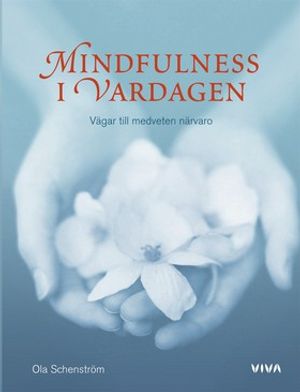 Mindfulness i vardagen : vägar till medveten närvaro