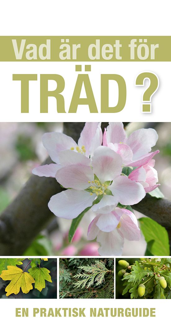 Vad är det för träd? | 0:e upplagan