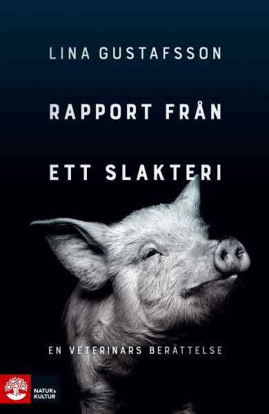 Rapport från ett slakteri : - en veterinärs berättelse | 1:a upplagan