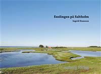 Enslingen på Saltholm | 0:e upplagan