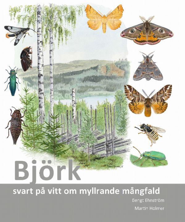 Björk : svart på vitt om myllrande mångfald | 1:a upplagan