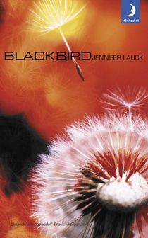 Blackbird