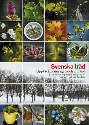 Svenska träd : upptäck, känn igen och använd | 1:a upplagan