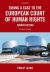 Taking a Case to the European Court of Human Rights (2017)