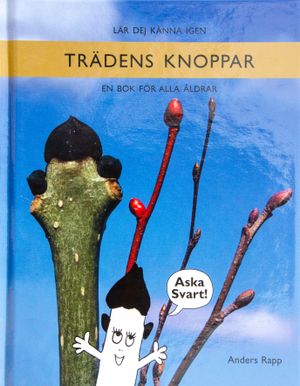 Lär dej känna igen trädens knoppar