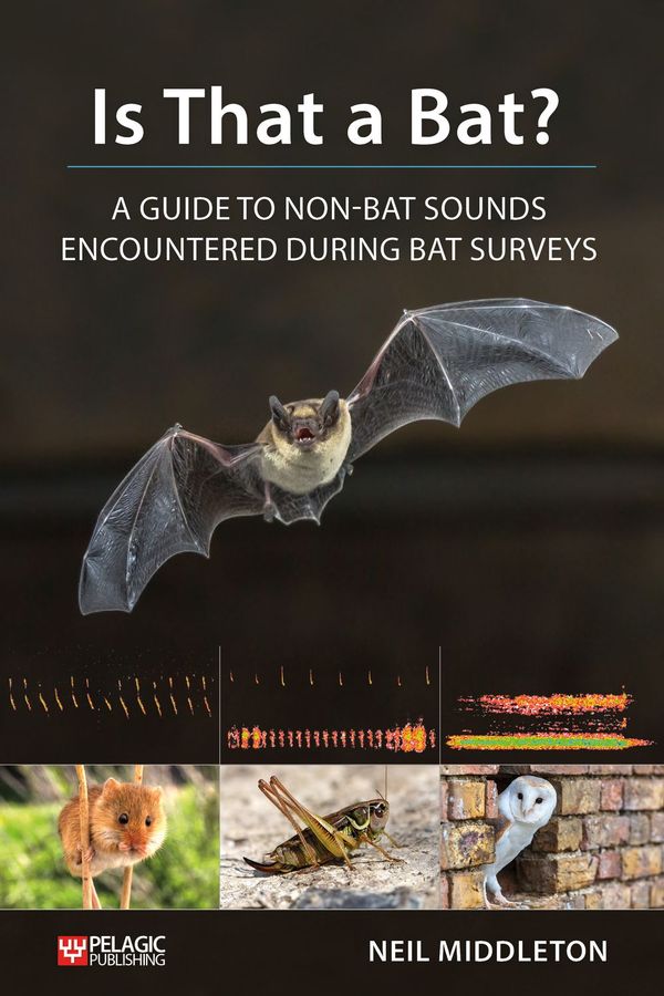 Is That a Bat? | 0:e upplagan
