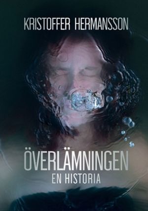 Överlämningen : En historia