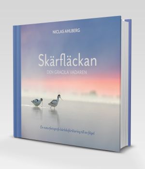 Skäfläckan - den gracila vadaren | 1:a upplagan