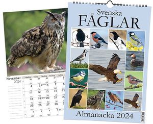 Svenska Fåglar Almanacka 2024 | 1:a upplagan