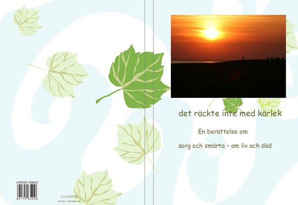 Det räckte inte med kärlek : en berättelse om sorg och smärta - om liv och död | 0:e upplagan
