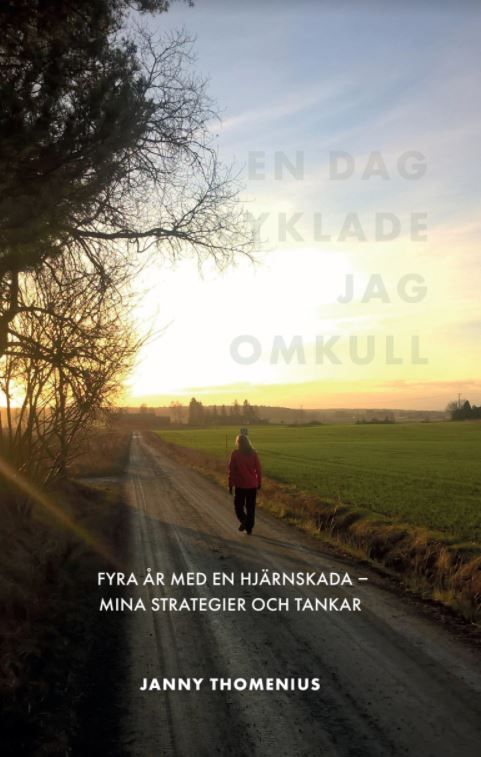 En dag cyklade jag omkull | 0:e upplagan