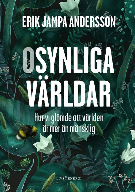 Osynliga världar | 0:e upplagan