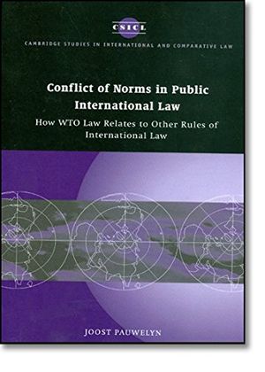 Conflict of Norms in Public International Law