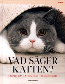 Vad säger katten?