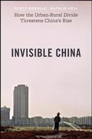 Invisible China – How the Urban–Rural Divide Threatens China?s Rise