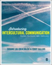 Introducing Intercultural Communication | 2:a upplagan