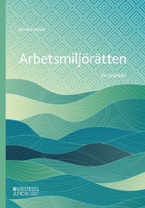 Arbetsmilj&ouml;r&auml;tten : En &ouml;versikt