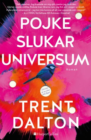 Pojke slukar universum