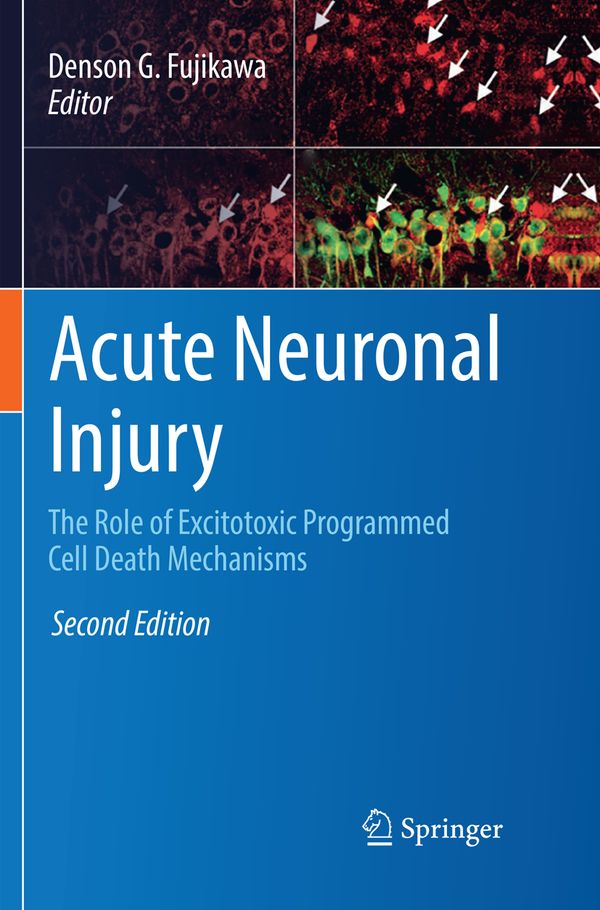 Acute Neuronal Injury | 2:a upplagan