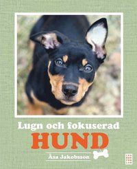 Lugn och fokuserad hund