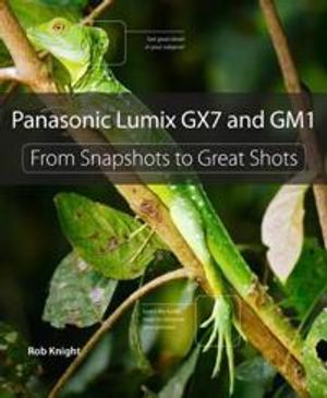 Panasonic lumix gx7 and gm1 - from snapshots to great shots