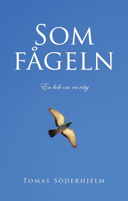 Som fågeln | 0:e upplagan
