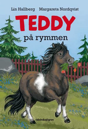 Teddy på rymmen | 1:a upplagan