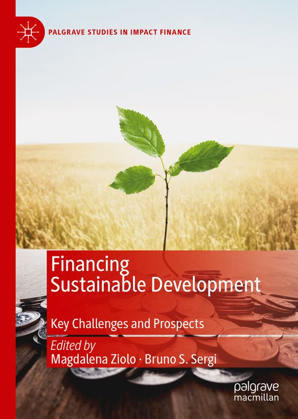 Financing Sustainable Development | 1:a upplagan