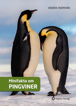 Minifakta om pingviner | 1:a upplagan