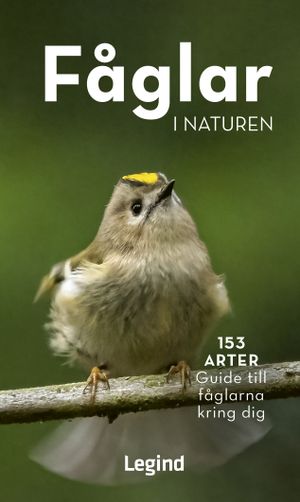 Fåglar i naturen : 153 arter, guide till fåglarna kring dig |  2:e upplagan