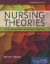 Nursing Theories (2014)