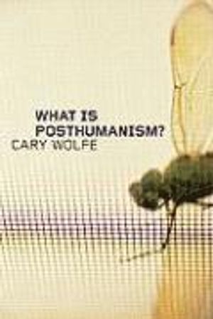 What is Posthumanism?