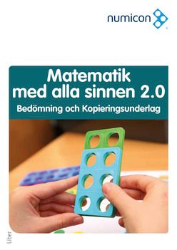 Numicon Matematik med alla sinnen Bedömning och Kopieringsundelag | 1:a upplagan