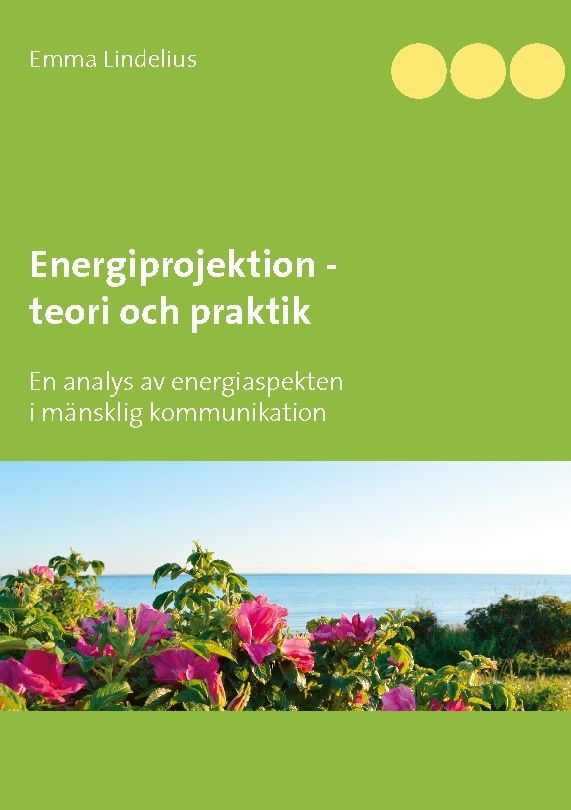 Energiprojektion teori och praktik : En analys av energiaspekten i  mänskli | 1:a upplagan