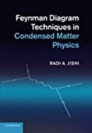 Feynman Diagram Techniques in Condensed Matter Physics