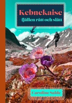 Kebnekaise - fjällen rätt och slätt | 0:e upplagan
