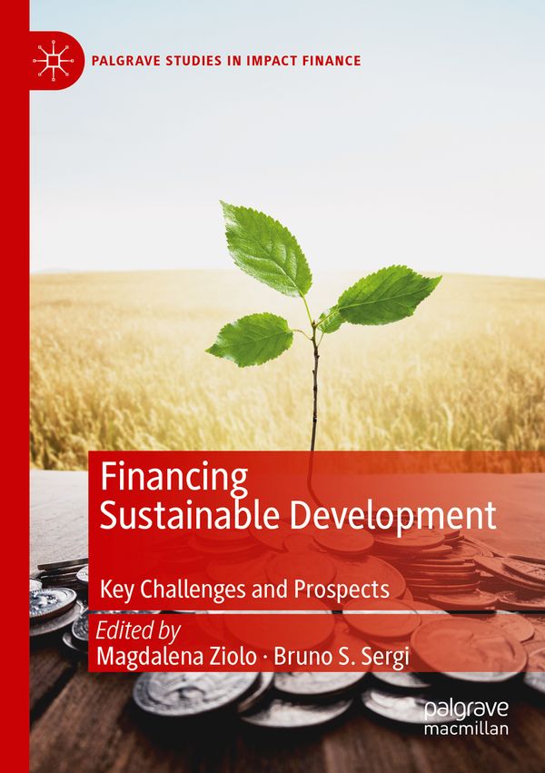 Financing Sustainable Development | 1:a upplagan