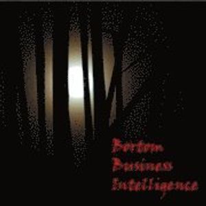 Bortom Business Intelligence | 1:a upplagan