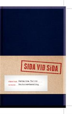 Sida vid sida: en studie av jämställdhetspolitikens genealogi 1971-2006 | 1:a upplagan