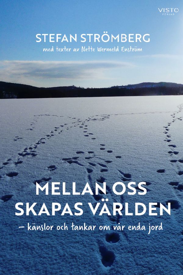 Mellan oss skapas världen : känslor och tankar om vår enda jord | 0:e upplagan