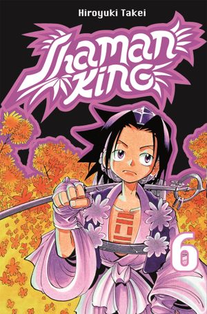 Shaman King 06 : Resan till Izumo