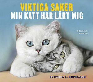 Viktiga saker min katt har lärt mig