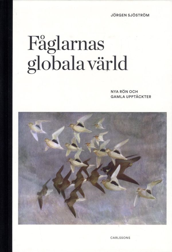 Fåglarnas globala värld | 1:a upplagan