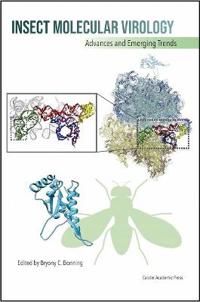 Insect Molecular Virology