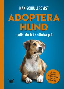 Adoptera hund - allt du bör tänka på