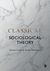 Classical Sociological Theory