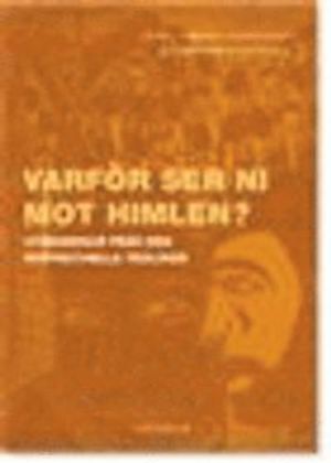 Varför ser ni mot himlen? : utmaningar från den kontextella teologin